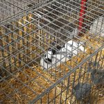 cage double pour plusieurs lapins