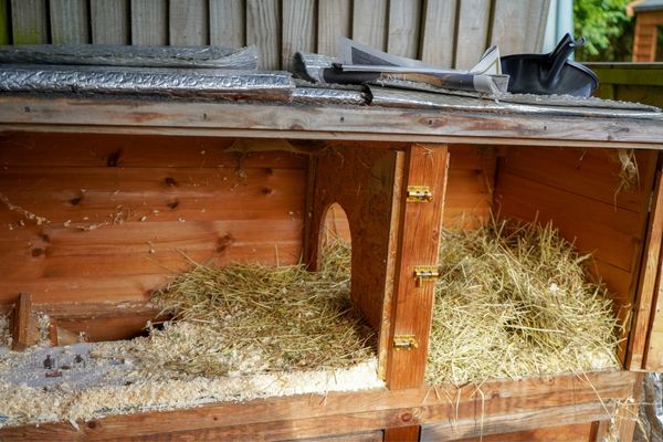 organiser la litière de son lapin